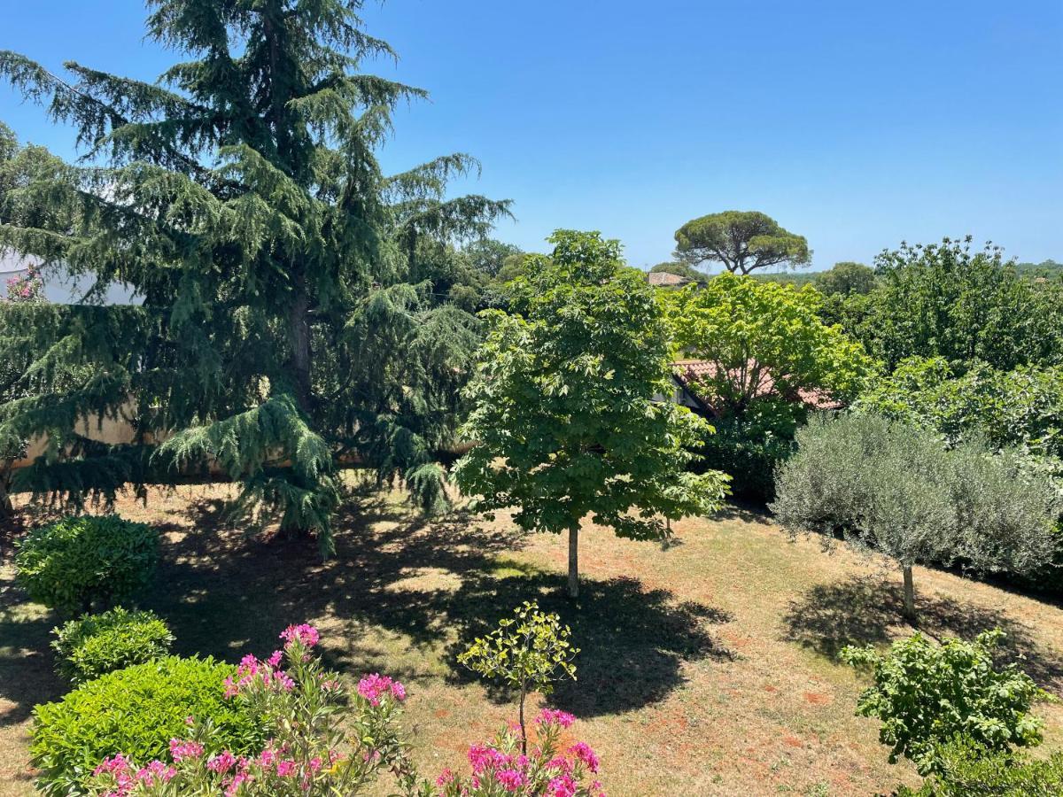 הוילה סבודרייה Valica Gardens מראה חיצוני תמונה